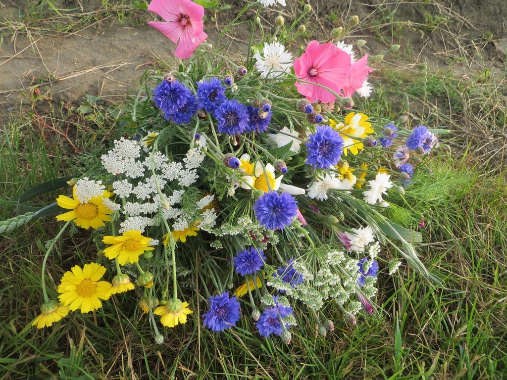 Boerderijcamping Plantlust Veere Zimmer foto